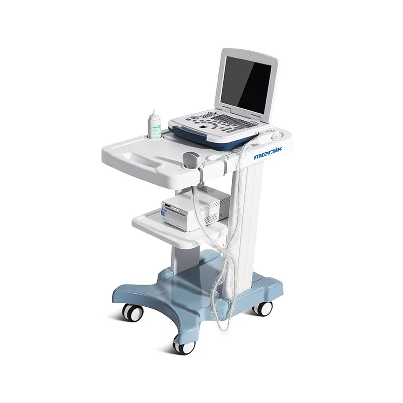 

Industrial Laboratory Medical Hospital Workstation Mobile Ultrasound cart Laptop Trolley