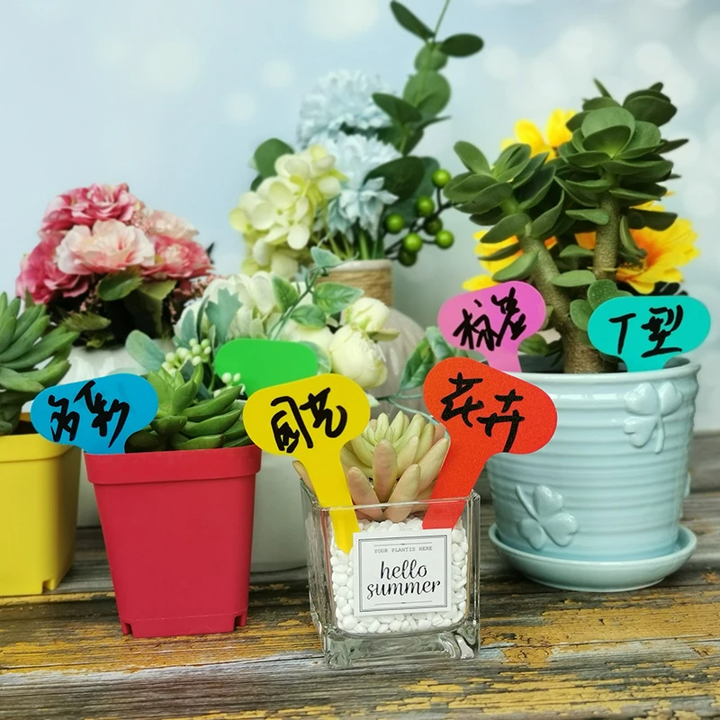 30/50/100pcs Garden Labels Plant Classification Sorting Sign Tag Ticket Plastic Writing Plate Board Plug In Card Colorful