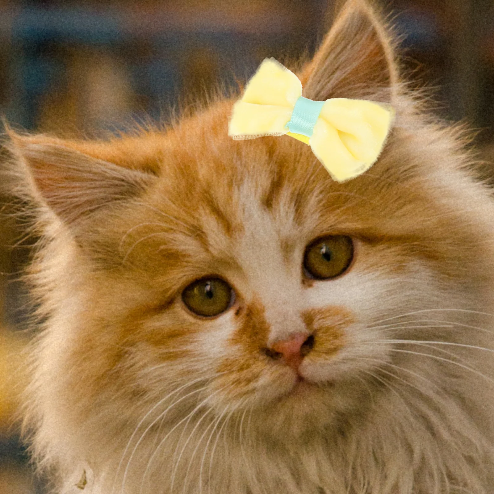 

10Pcs Dog Bowknot Hair Clips Pet Accessories Cute Small Dogs Cats Long Hair Grooming Bows Stylish Pet Barrettes