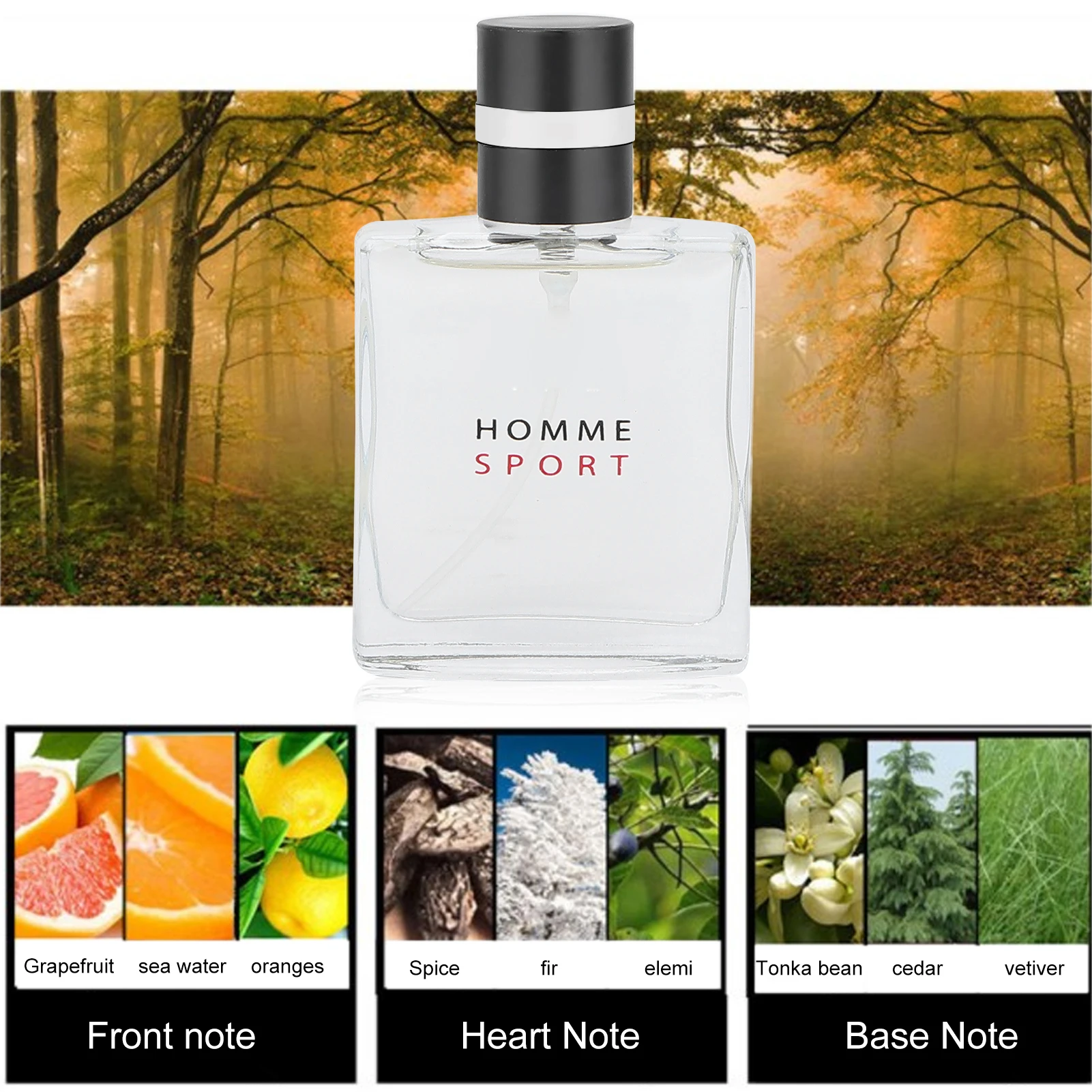 25ml Men Perfume Sports Cologne Oceanic Floral Fragrance Long Lasting Male Perfume Set Floral Fragrance Perfume Men Perfume