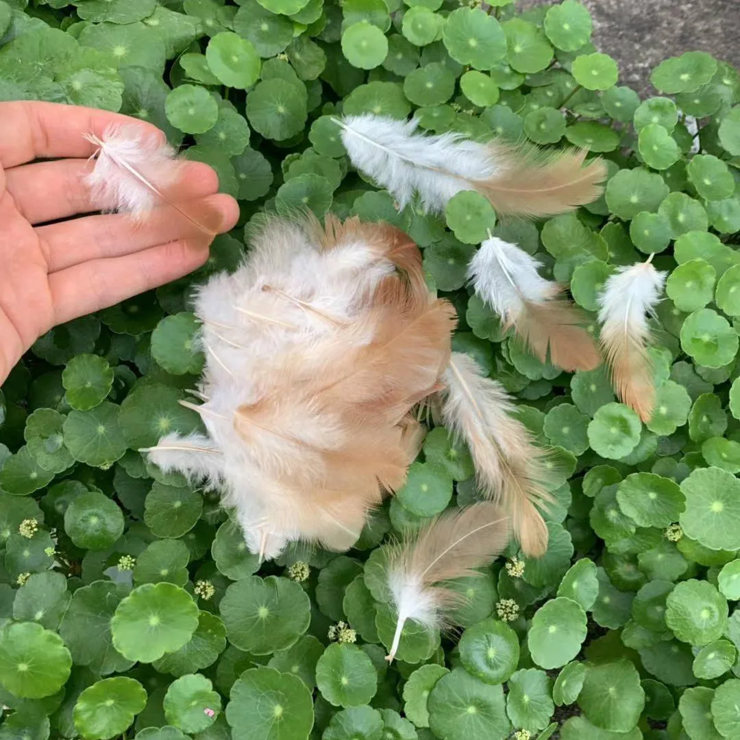 100PCS Pheasant Feather Feathers Natural Colorful Craft Feathers for Home Party Wedding Decoration and Costume Accessories