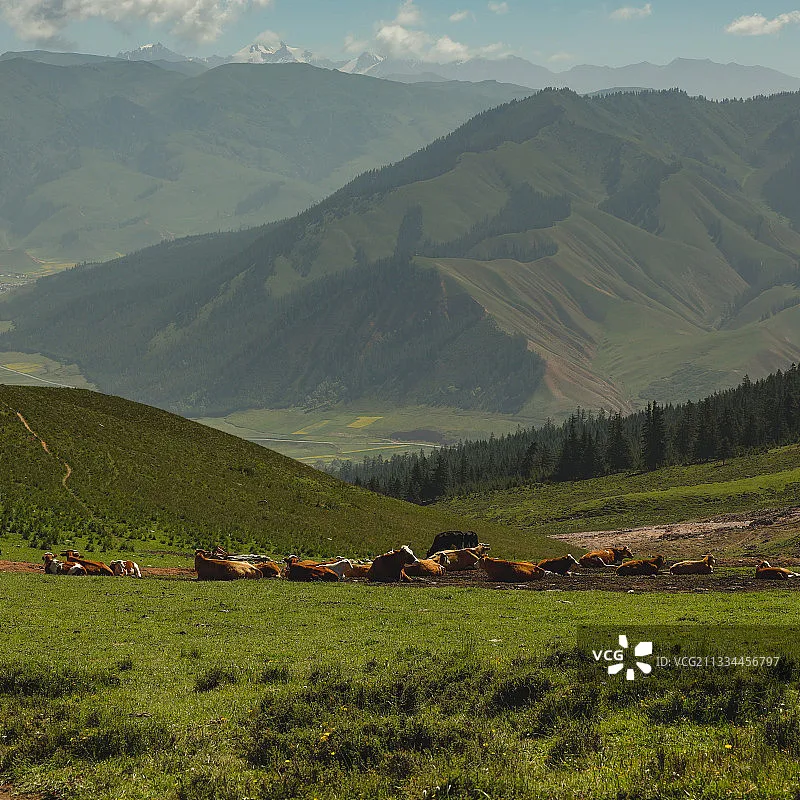 Flywoo 30X30 Fpv St… - image