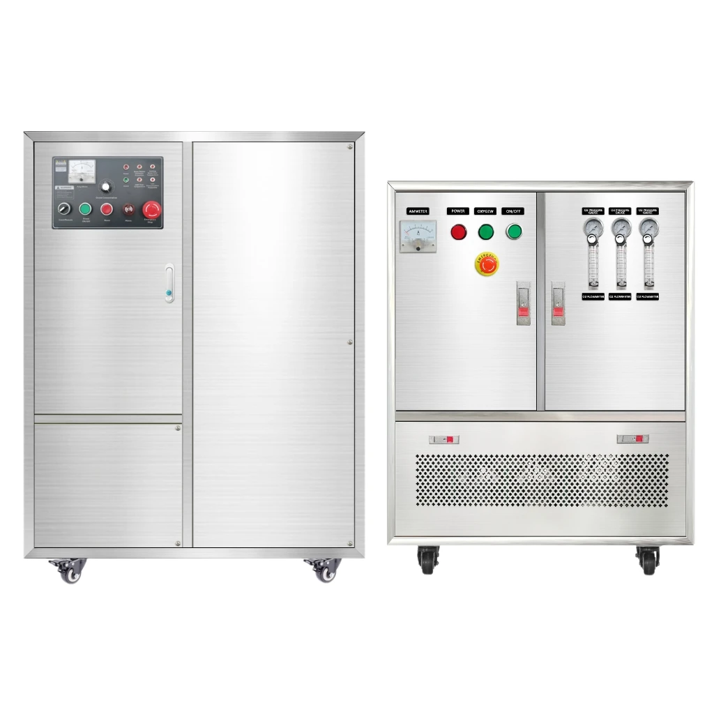 Flygoo Industrial 300G Ras Fish Aquaculture System High Concentration Ozone Generator Stainless Steel Reverse Osmosis PLC Water