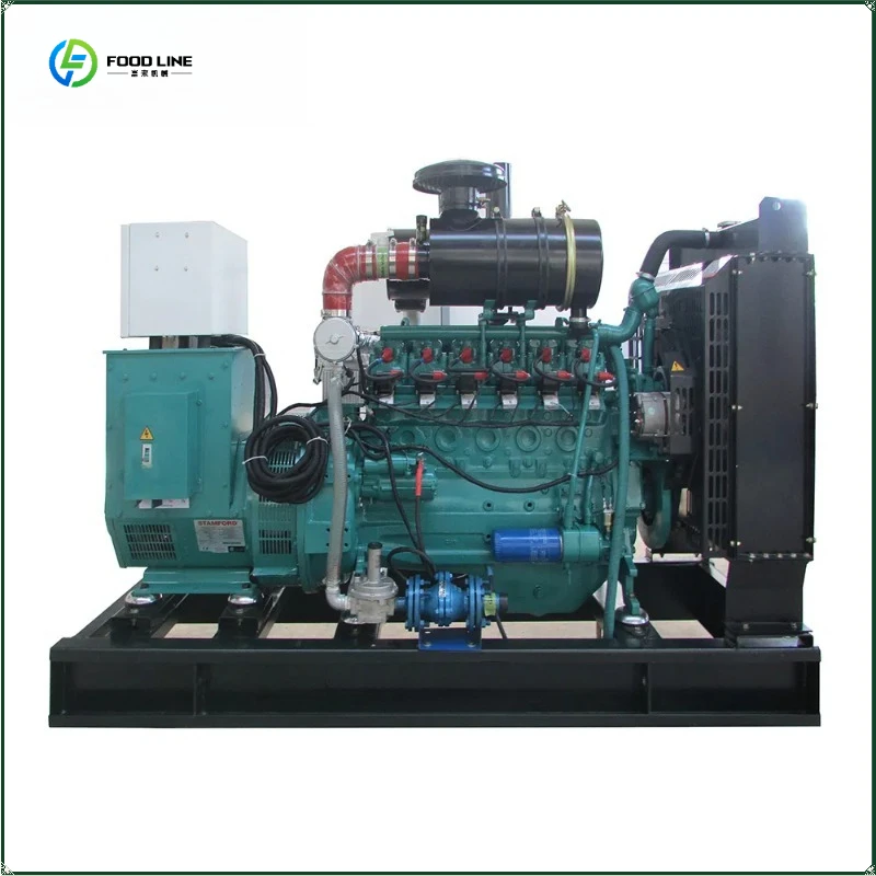 Multiple Power Multiple Models Hot Selling Natural Gas Generator Price FL Customized
