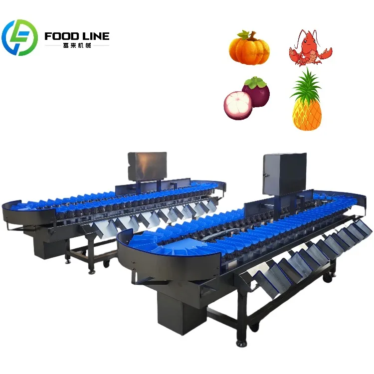 Multi Levels Weight Sorting Machine Hot Sale Egg Grading Machine