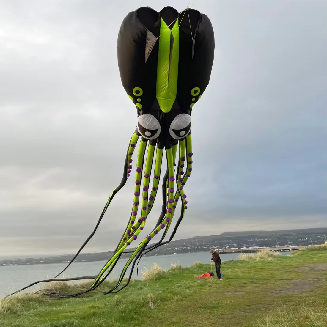 9KM 12m Giant Octopus Kite for Adults High Quality Ripstop Nylon Soft Inflatable Show Kite Pendant with bag (Accept wholesale)