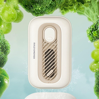 Wireless charging automatic food purifier cleaning capsule mini fruit and vegetable washing machine rice meat seafood