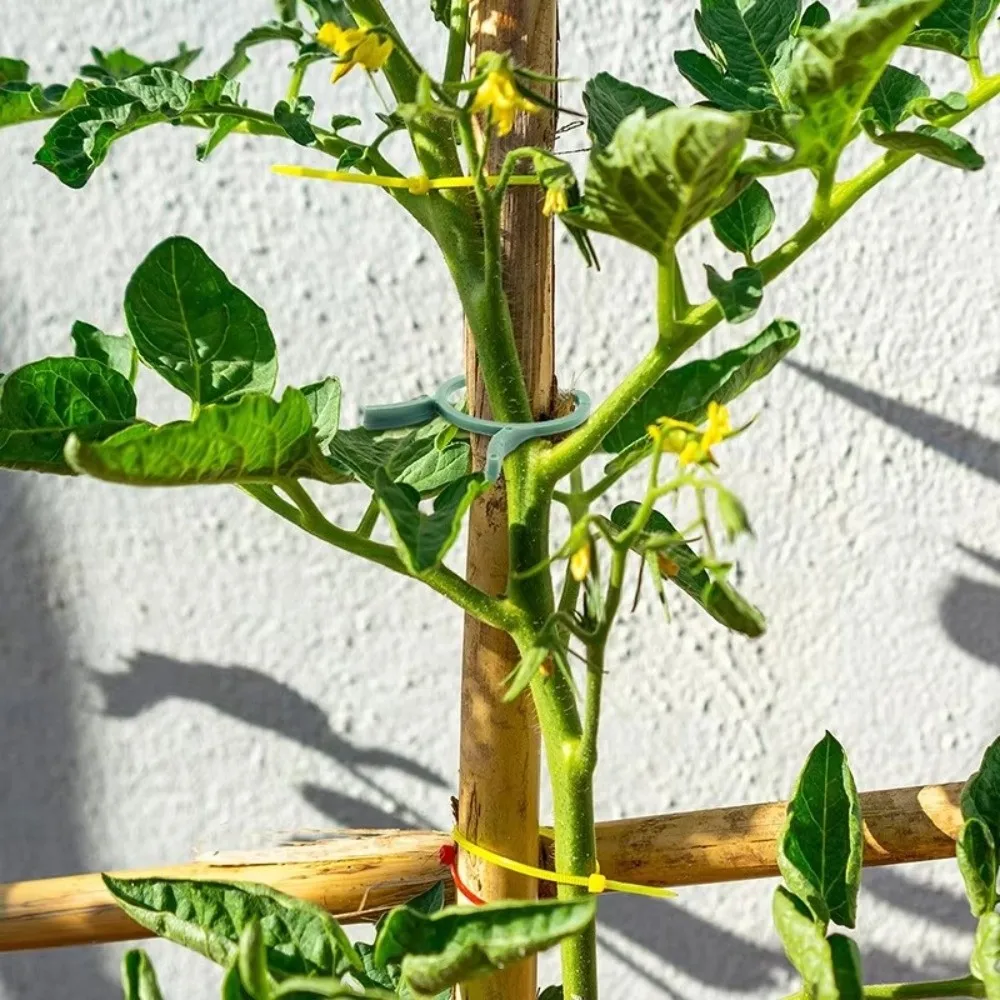 

100PCS Green Garden Plant Clips Bundle Plastic Ring Vertical Plant Holder Vine Holder Garden Holder For Vegetable Growing