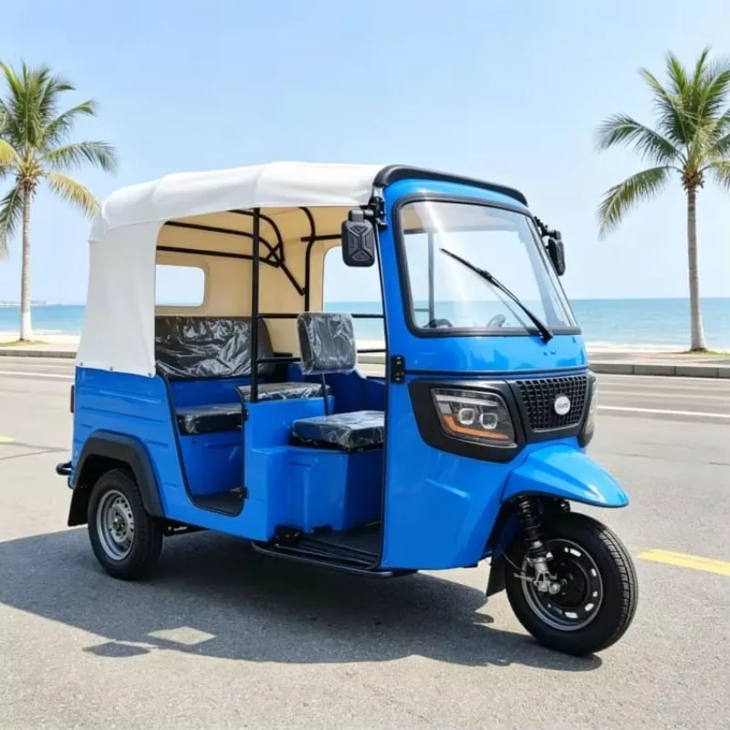 Multifunctional Electric Tuk Tuk Passenger Cargo Integrated 3 Wheeler Tricycle for Urban and Rural Logistics