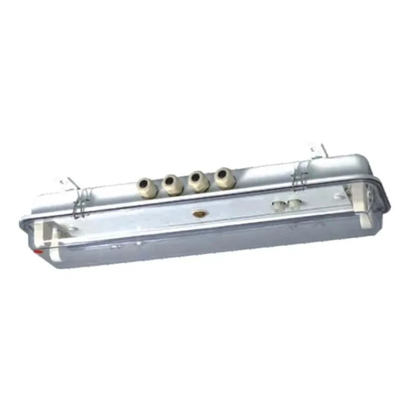

JCY24-2E 2x20W 110V 20V IP56 Fluorescent Pendant Light