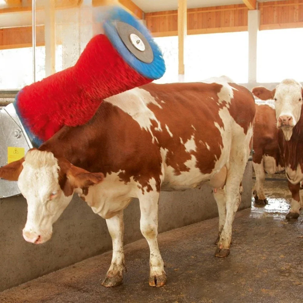 Fully Automatic Cattle Farm Breeding Equipment Body Brush Scraping Brush For Cattle Farming Equipment