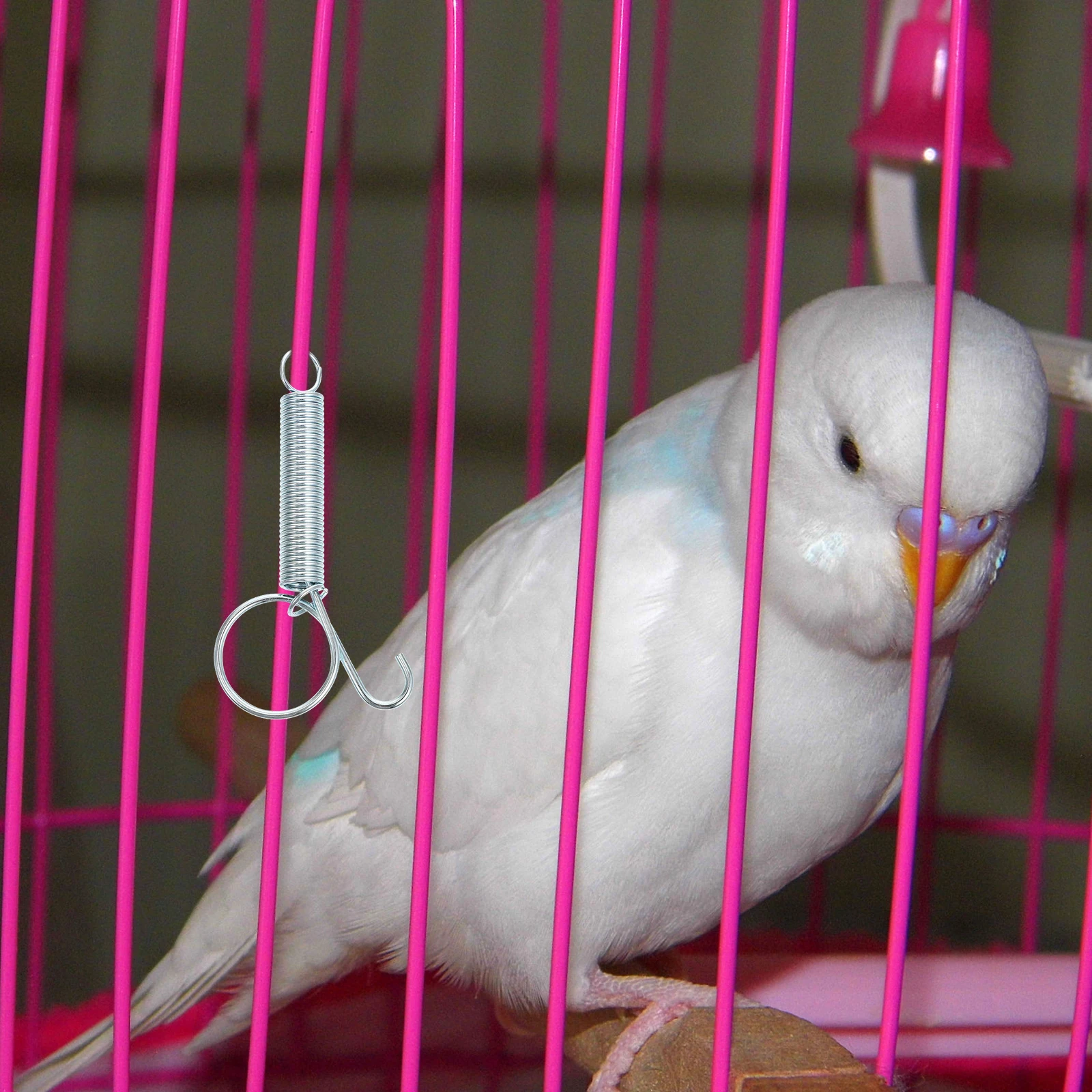 

10Pcs Cage Utensil Fixed Hook Easy to Operate Stainless Steel for Rabbit Chicken Pigeon Quail Bird Cages Prevent Escape