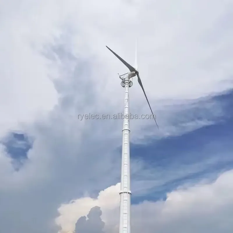 RY Factory Wholesale 50KW Alternative Energy Generators Horizontal Wind Turbine Wind Solar Hybrid Power System
