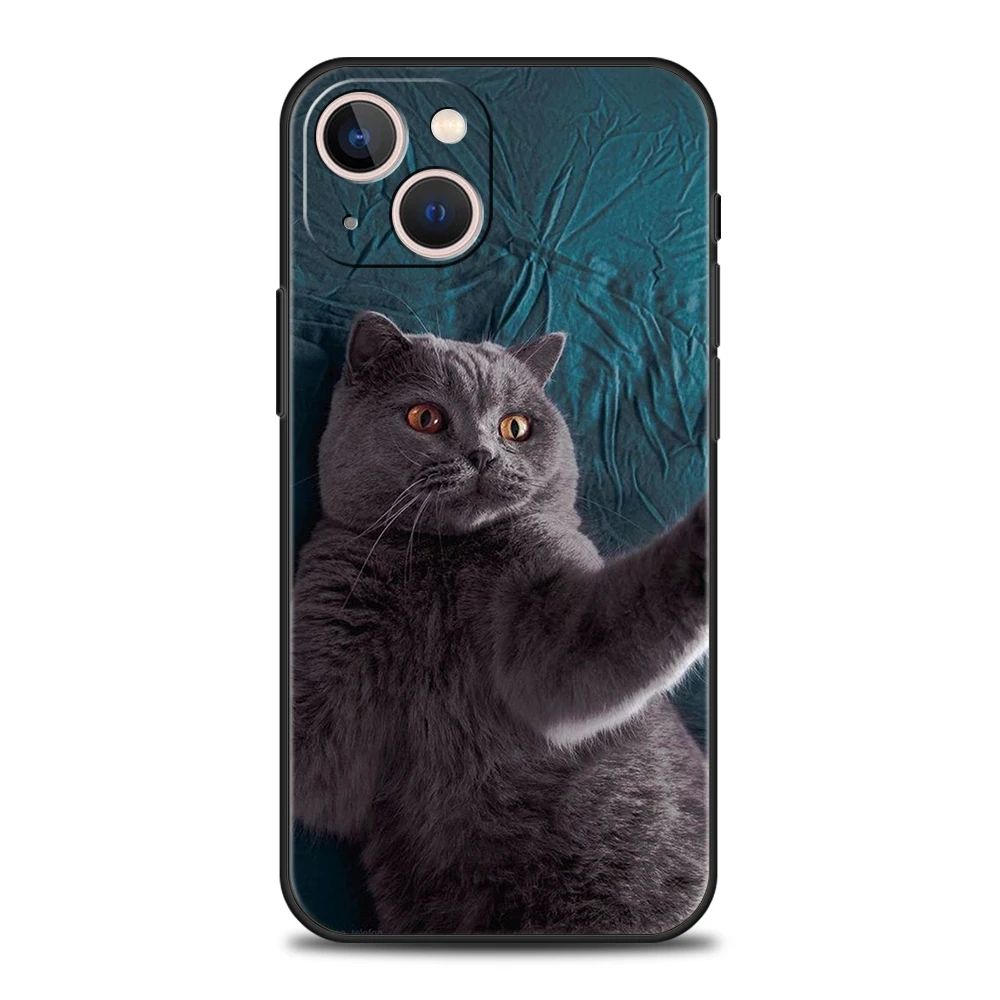 British shorthair cat Luxury Phone Case For iPhone 11 12 13 14 15 16 Pro Max Mini X XR XS 7 8 Plus SE Silicone Cover Black Funda