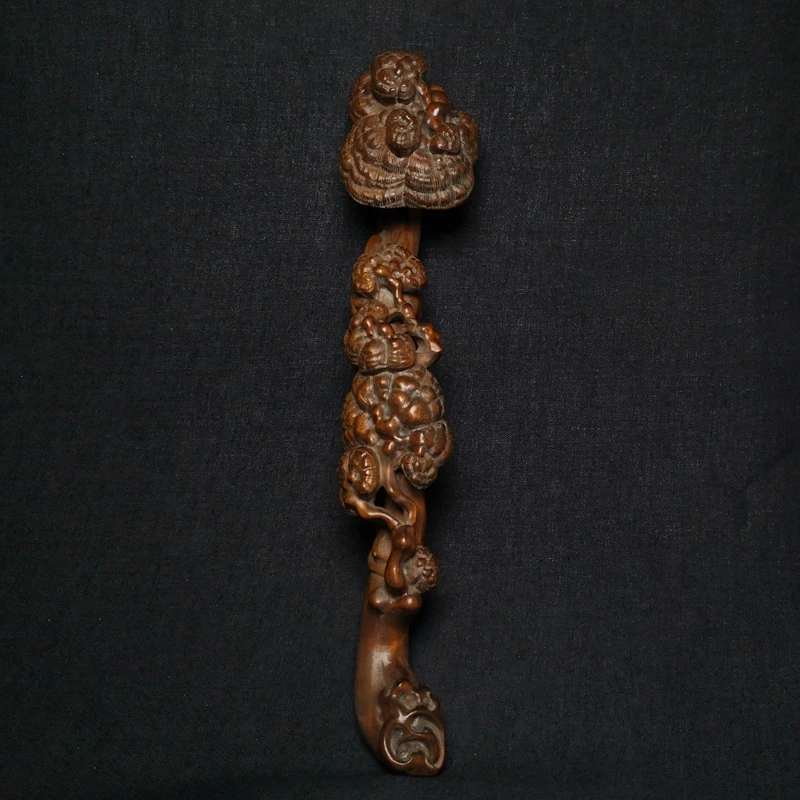 Obrázek kategorie: Lesklokorka lesklá, Reishi