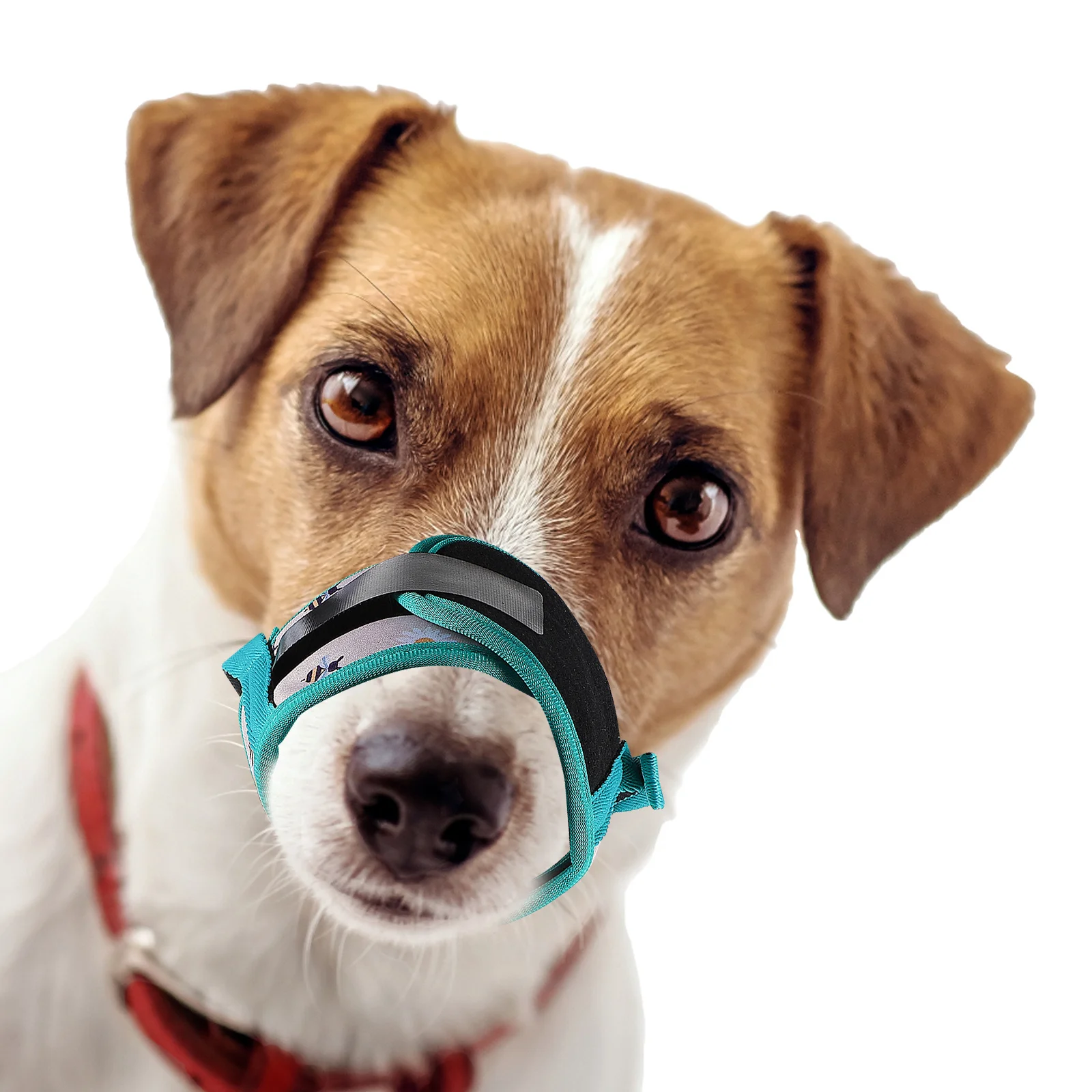 

Adjustable Dog Muzzle Anti-Biting Breathable Chewing Muzzle For Pet Safety Lightweight Polyester Pet Accessory Dog Supply