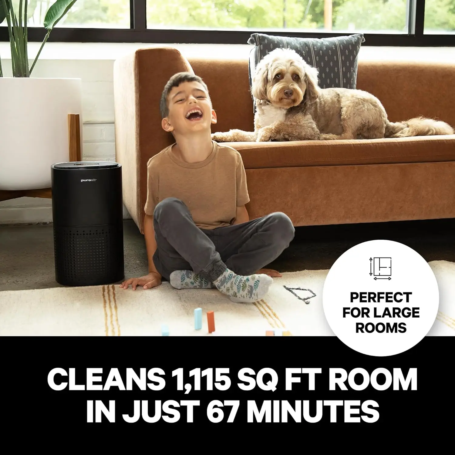 for Home - Covers 1,115 Sq Ft - For Large Rooms - Up To 99.99% of Pet Dander, Smoke, Allergens, Dust