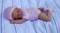 NPK 10inch Mini Reborn Doll Luna Sweet handy Doll soft Body real touch Art Made 3D Skin Lifelike Baby Collectible Doll