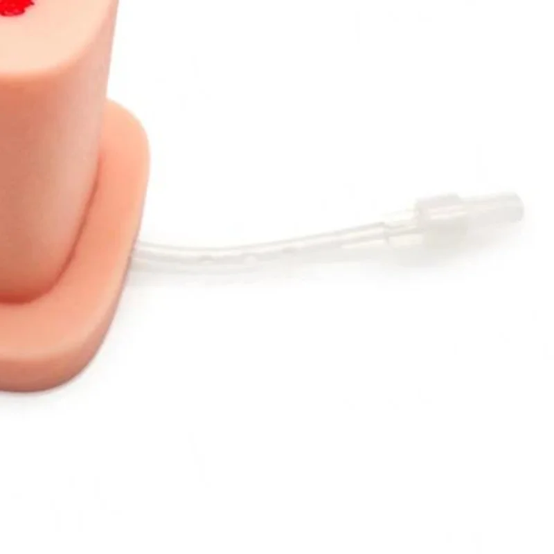 

Wound Packing Task Trainer Bleed Control Tourniquet Trainer Basic Gunshot Wound Packing Trainer For Nurse Education