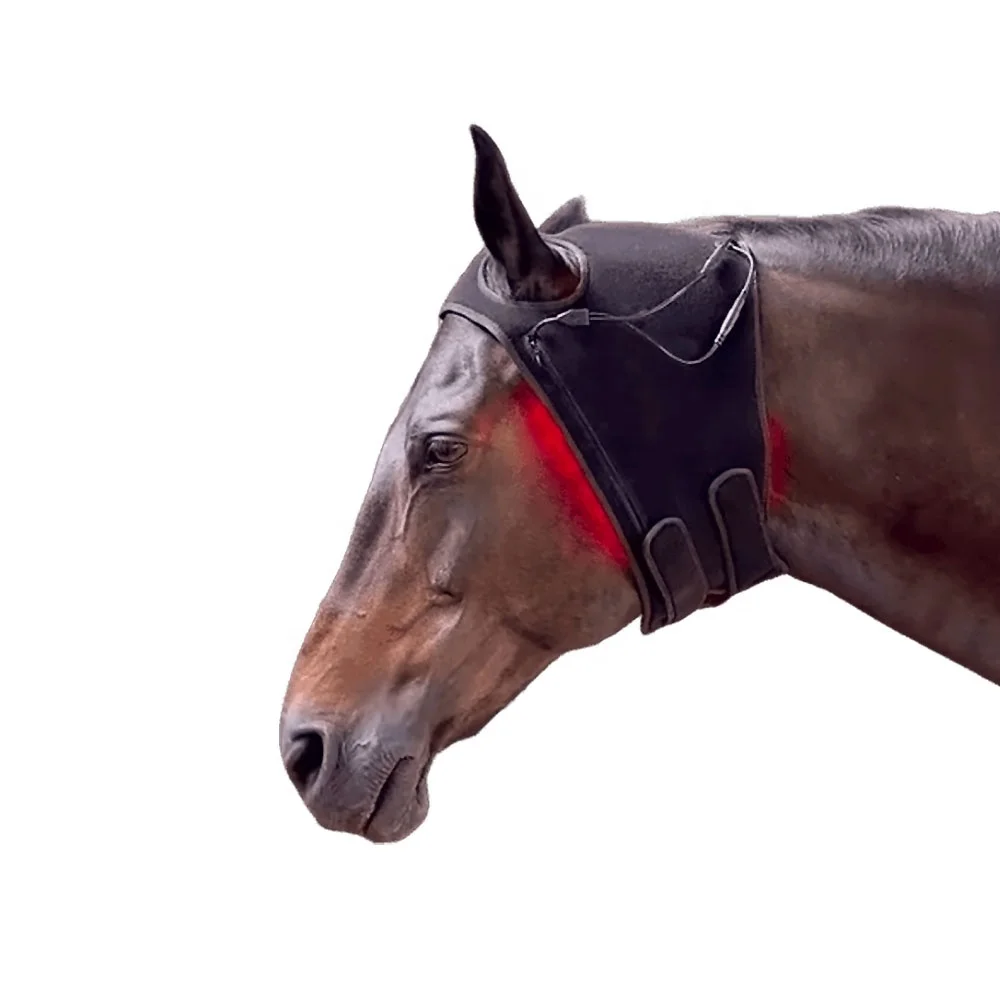 Equine Poll Cap Infrared Light Therapy Horse & Dog Head Pain Relief Therapy Wrap
