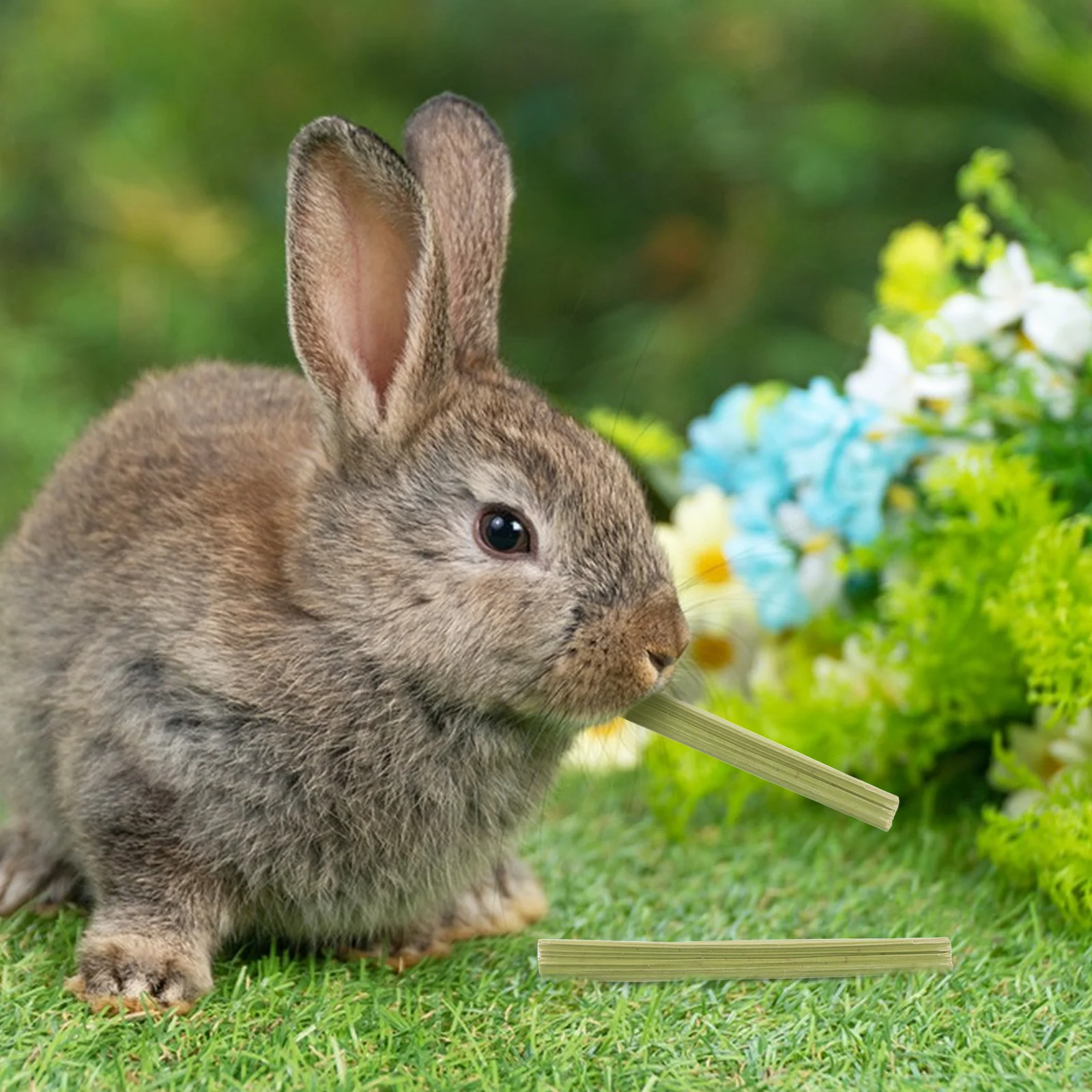 

1Set Dried Papaya Stem Rabbit Treats 100g Small Animal Chew Sticks Dental Care Hamsters Chinchillas Guinea Pigs Natural Molar