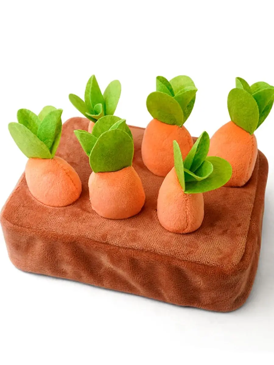 Jouets Montessori pour bébés, jouets éducatifs de forme colorée, ensemble de carottes, jouets de comptage et de découverte pour enfants, apprentissage