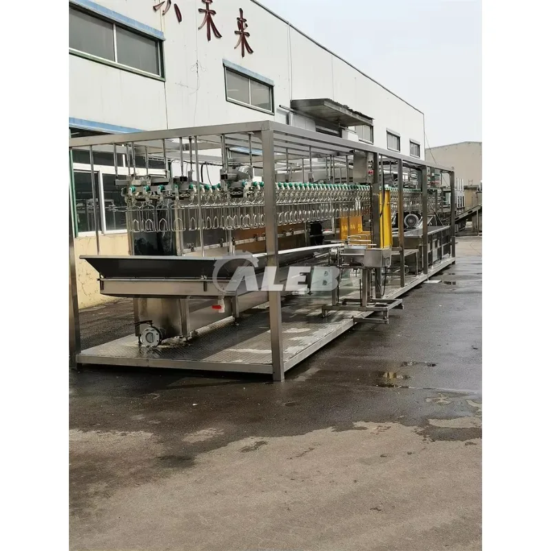 2025 Vee Slachten Huis Apparatuur Kip Goedkope Slachten Lijn Gevogelte Apparatuur