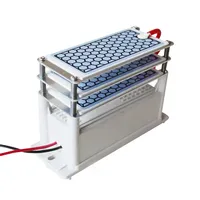 110V/220V ozone generator ozone ceramic 15g/h ozone generator accessories