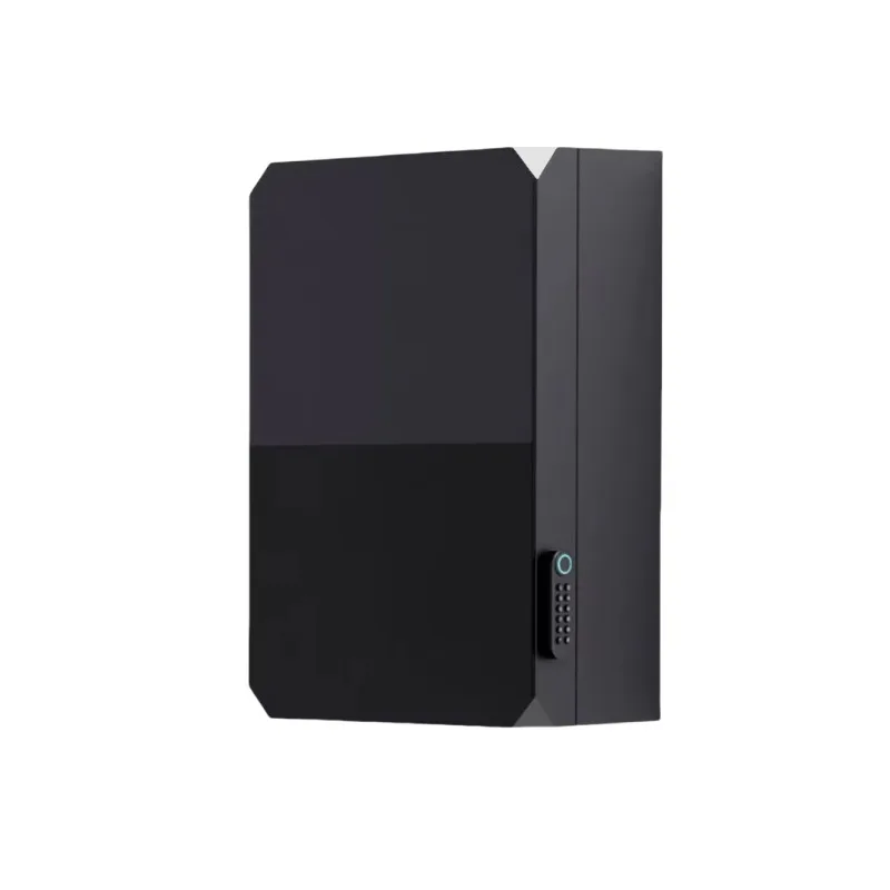 

【Factory】EV Wallbox Protection Cabinet EV Charger Box Glass Panel Mirror Black And White Manufacturer Factory Directly