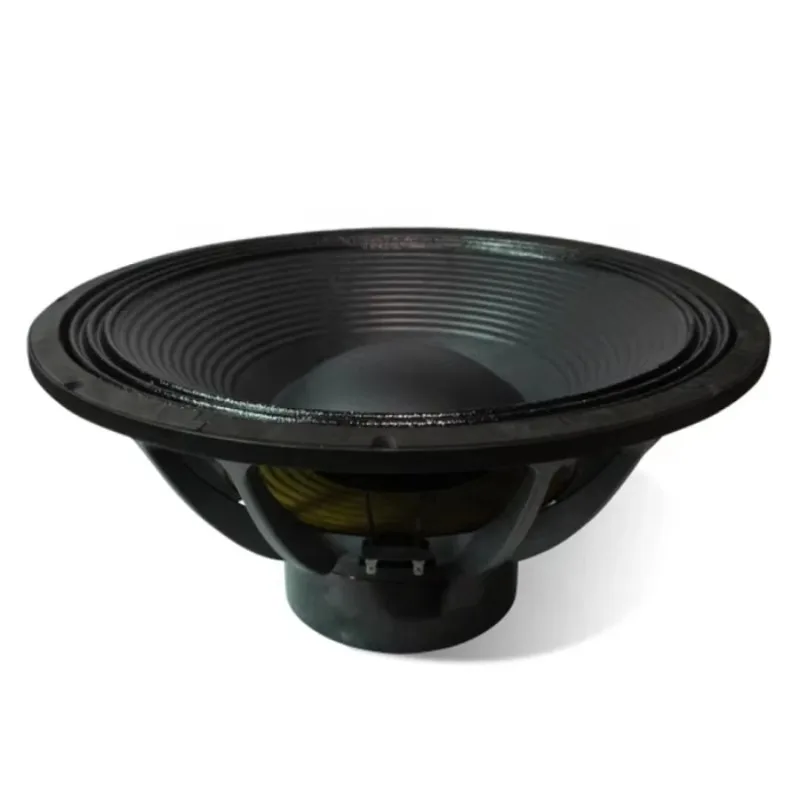 21inch Outdoor Subwoofer Speakers For Dual 21 Inch Subwoofer Enclosed Professional Audio System