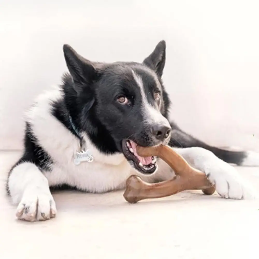 Jouet à mâcher en forme de Y pour chien, bâton de dentition en Nylon résistant à l'usure, résistant aux morsures marron, jouet interactif d'entraînement pour animaux de compagnie, chiot