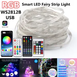 Guirnalda de luces LED inteligente, tira de luces RGB, USB, Control remoto por aplicación Bluetooth, WS2812B IC, iluminación para fiesta de navidad