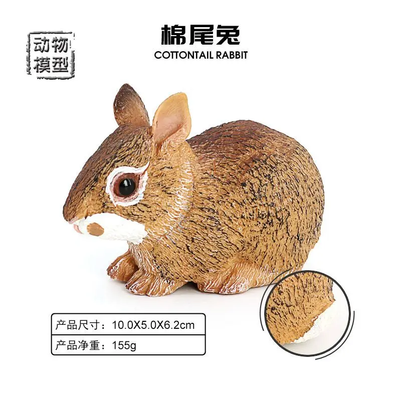 Solid Simulation Wild Animal Rabbit Model Hare Cotton Tail Rabbit Children's Early Education Cognitive Toys Figure Home Ornament