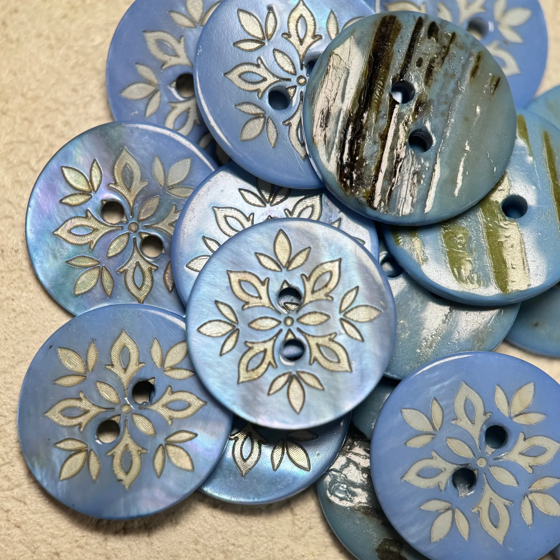 15 Pezzi/Lotto Bottoni in Conc - Dried Flower Bulk recensione e prezzo