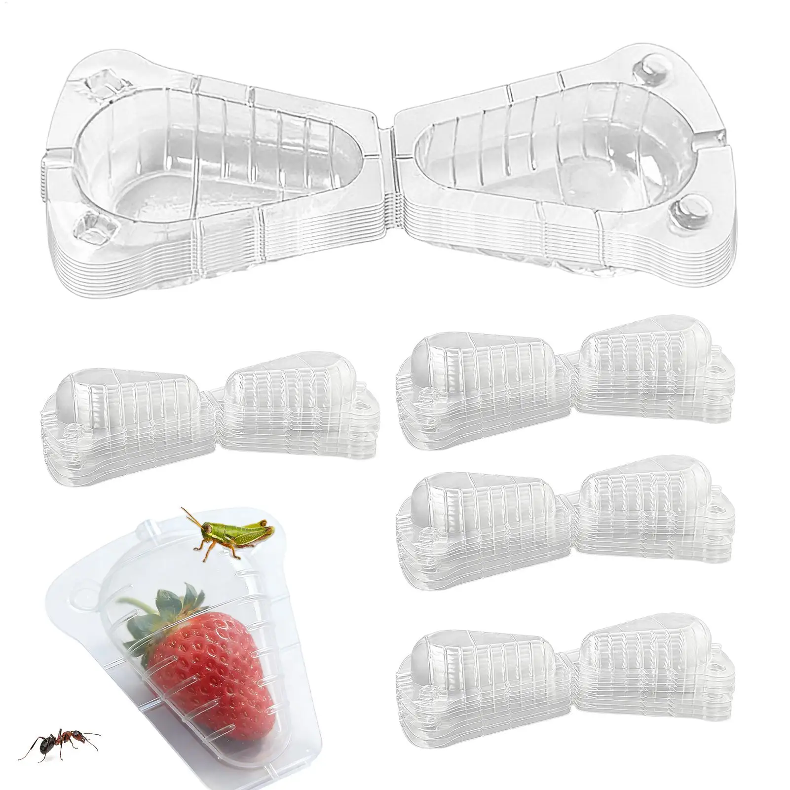 Strawberry Plant Protectors 50-Pieces Clear Reusable Ventilation Cover Strawberry Protection Shell for Plants Garden Vegetable