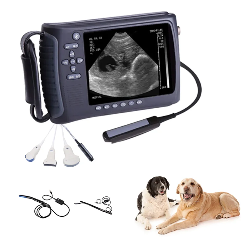 

2023 Medsinglong Most Popular Vet Goat Pig Pregnancy Ultrasound Scanner Handheld Portable Veterinary Ultrasound Machine