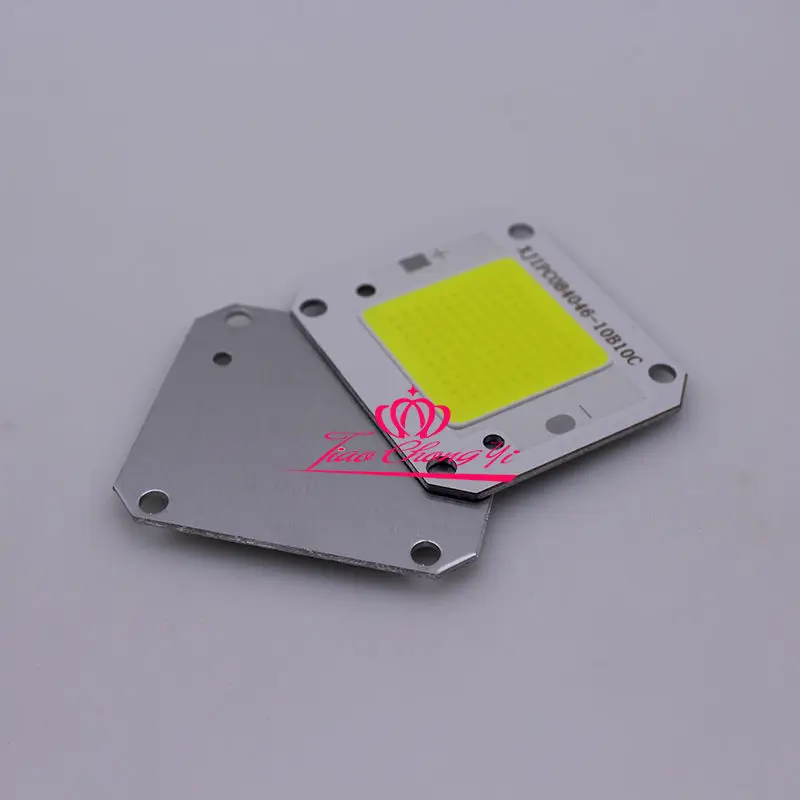 50W warm white /white Cool white High Power 12V 32V COB LED Chip Grow light 10PCS