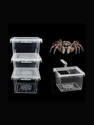 5 Pcs Insect Reptile Spider Hatching Container Frog Breeding Box Suitable For Scorpion Centipede Horned Frog Larvae Breeding Box