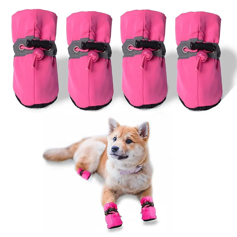 #30 Latest Puppy Boots Updates