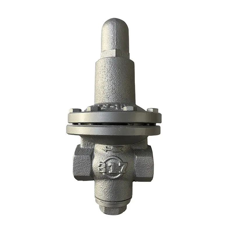 

317 tooth mouth decompression steam pressure reducing valve, wire mouth steam pressure reducing valve