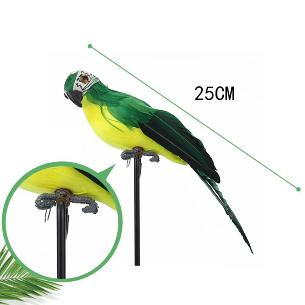 Durable Simulation Bird Long Lasting Realistic Looking Foam Stuffed Simulation Parrot Create Vitality