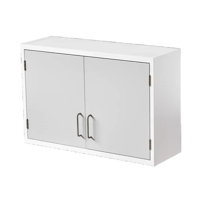 for Modern style wall-mounted hospital laboratory lockers, steel lockers with lockers