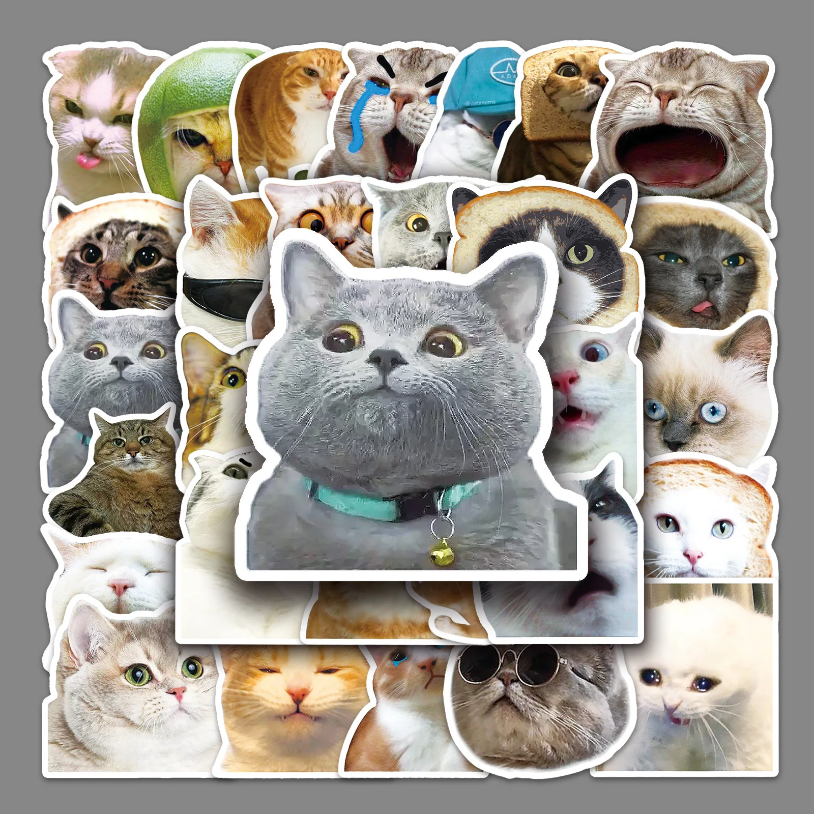 

50 очаровательных наклеек с изображением кота: ноутбук, бутылка с водой, чемодан, шлем, мотоцикл, гитара, рождественский подарок, наградной подарок - виниловые материалы