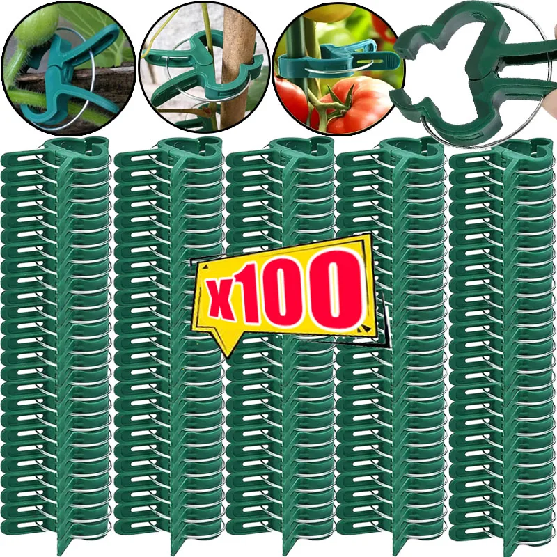 

Reusable Plastic Plant Support Clips Seedling Stem Support Plant Clips Greenhouse Rattan Vines Vegetables Tomato Clamping Tool
