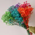 MIX 5 color