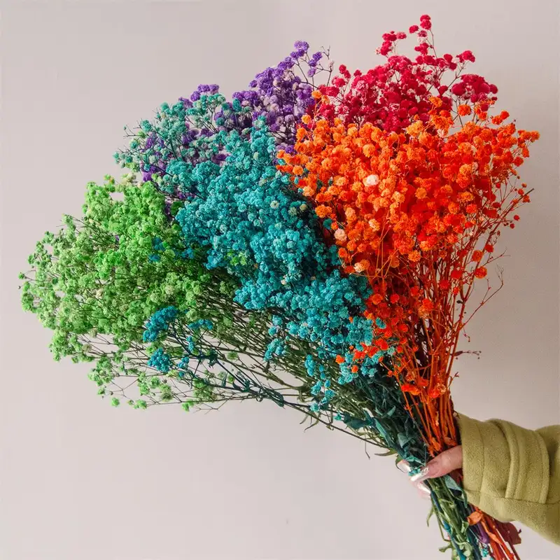 80g Mix Gypsophila Baby Breath Dried Flower Bouquet Boho Wedding Photo Prop Decoration Preserved Gypsophile Home Room Vase Decor - Image 7