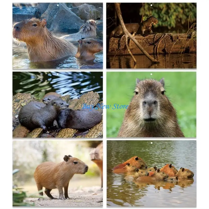 Calendario para colgar en pared con temática animales, 20CE 2026, 13 meses, desde enero 2026 hasta enero 2027, para