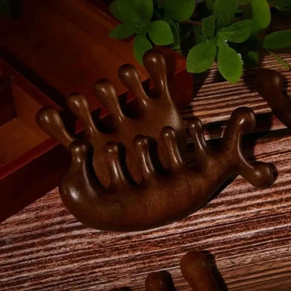 Thumbnail 2 - #36 Best Rated Combs & Brushes to Buy in 2026