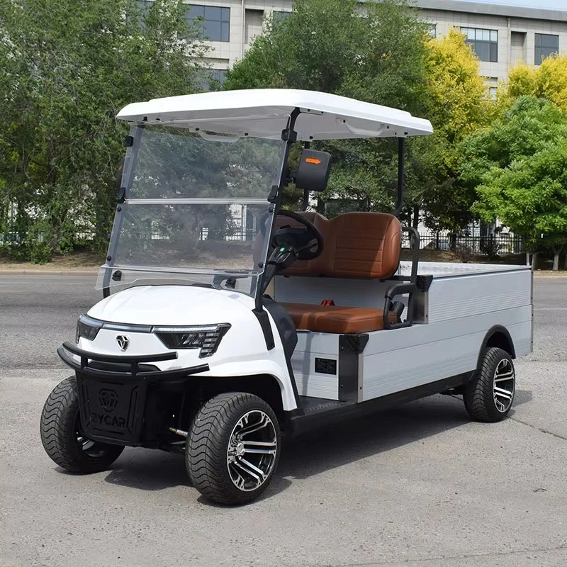 2 Seats CE Approved Golf Carts Modified Electric Vehicle Utility Tool Carts With Cargo Boxes
