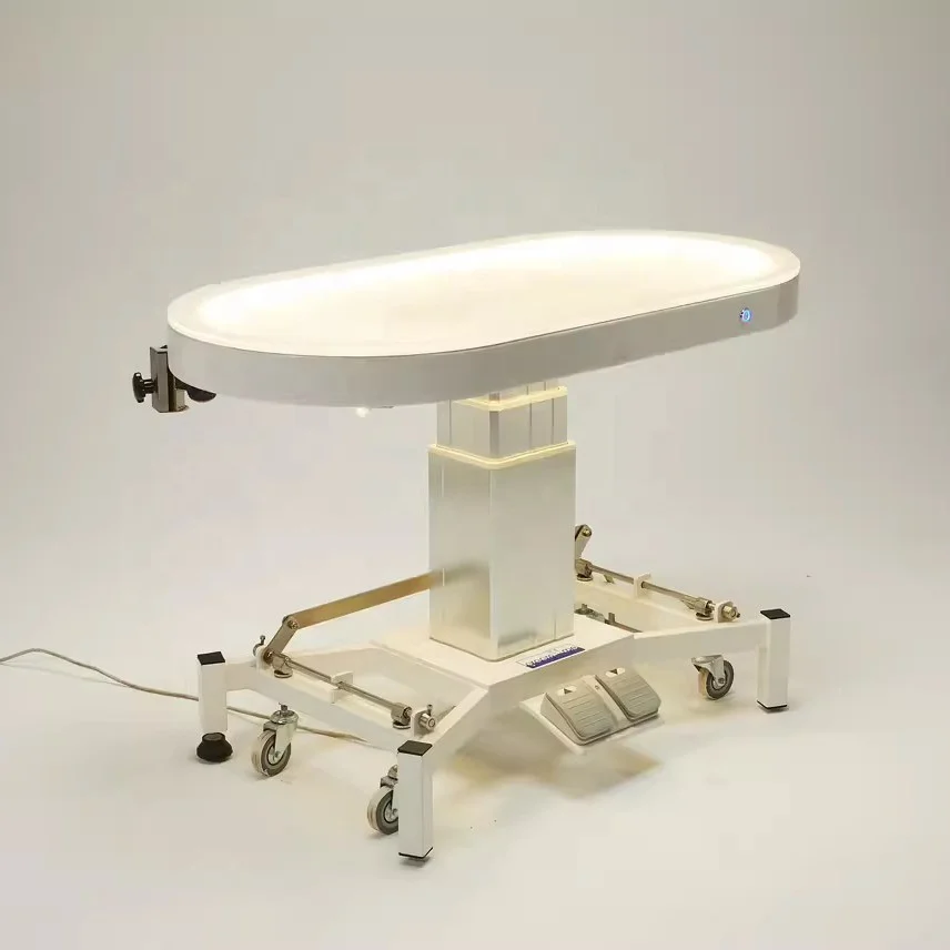 New Design Professional LED Electric Lift Pet Grooming Table Electric Illuminated Pet Grooming Table for Dogs